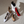 Load image into Gallery viewer, RĒDEN Women's Love Flat Removable Ankle Strap Leather Suede